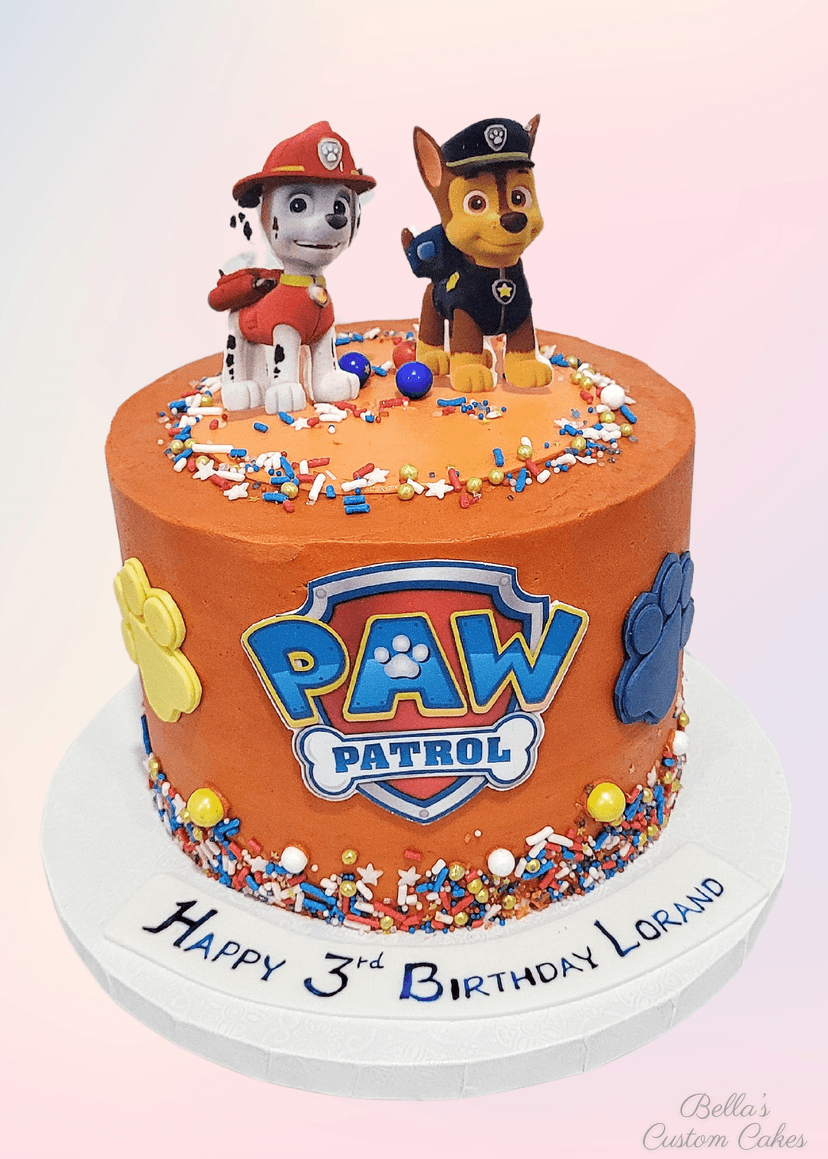 Vibrant cake decorated with Paw Patrol characters and rescue badges