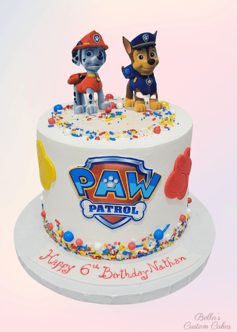 Fun Paw Patrol cake topped with a figure of Ryder and pups